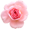 Profile picture of youplanitdigitalplanner