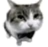 Profile picture of cecil