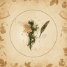Profile picture of Nymph&Quill
