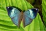 Profile picture of WildBloom
