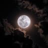 Profile picture of M. Anamaria | moonwriter