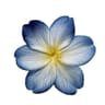 Profile picture of Design studio
