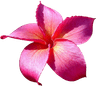 Profile picture of Oragnizers
